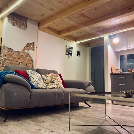 Central Cluj Loft Apartment Bagian luar foto