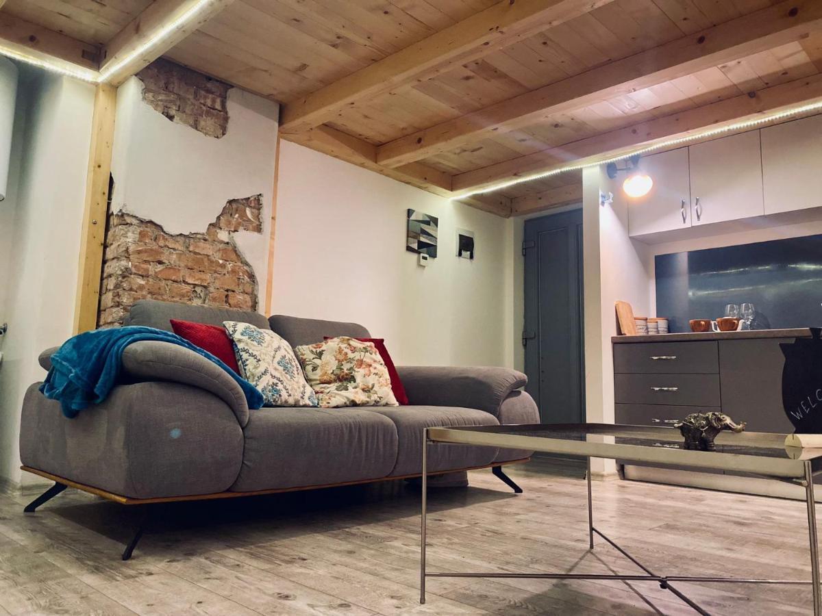 Central Cluj Loft Apartment Bagian luar foto